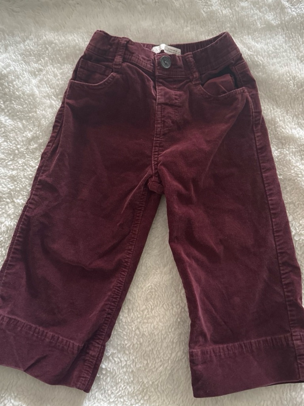 Marine velvet burgundy pants toddler
